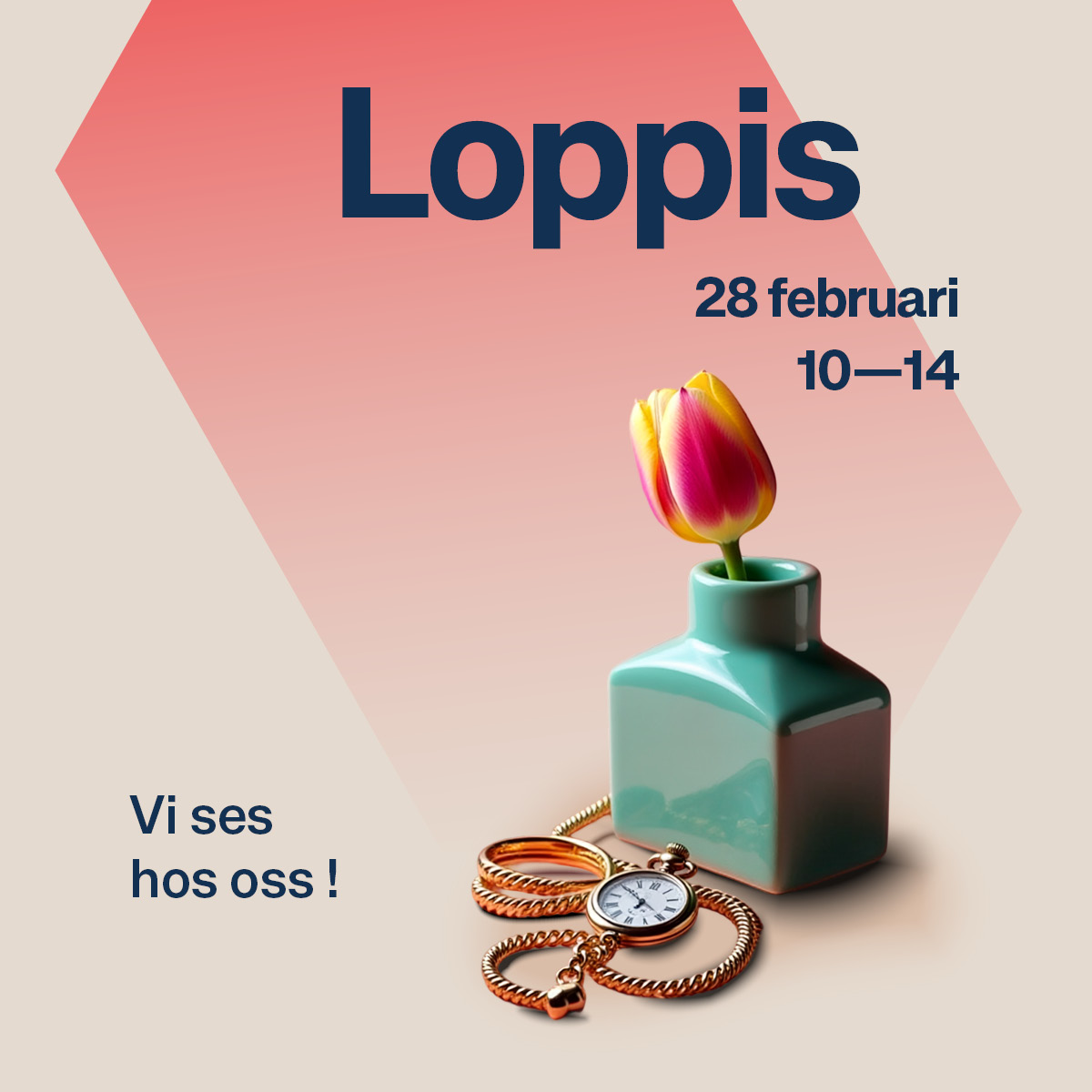 STT Loppis material Hemsida